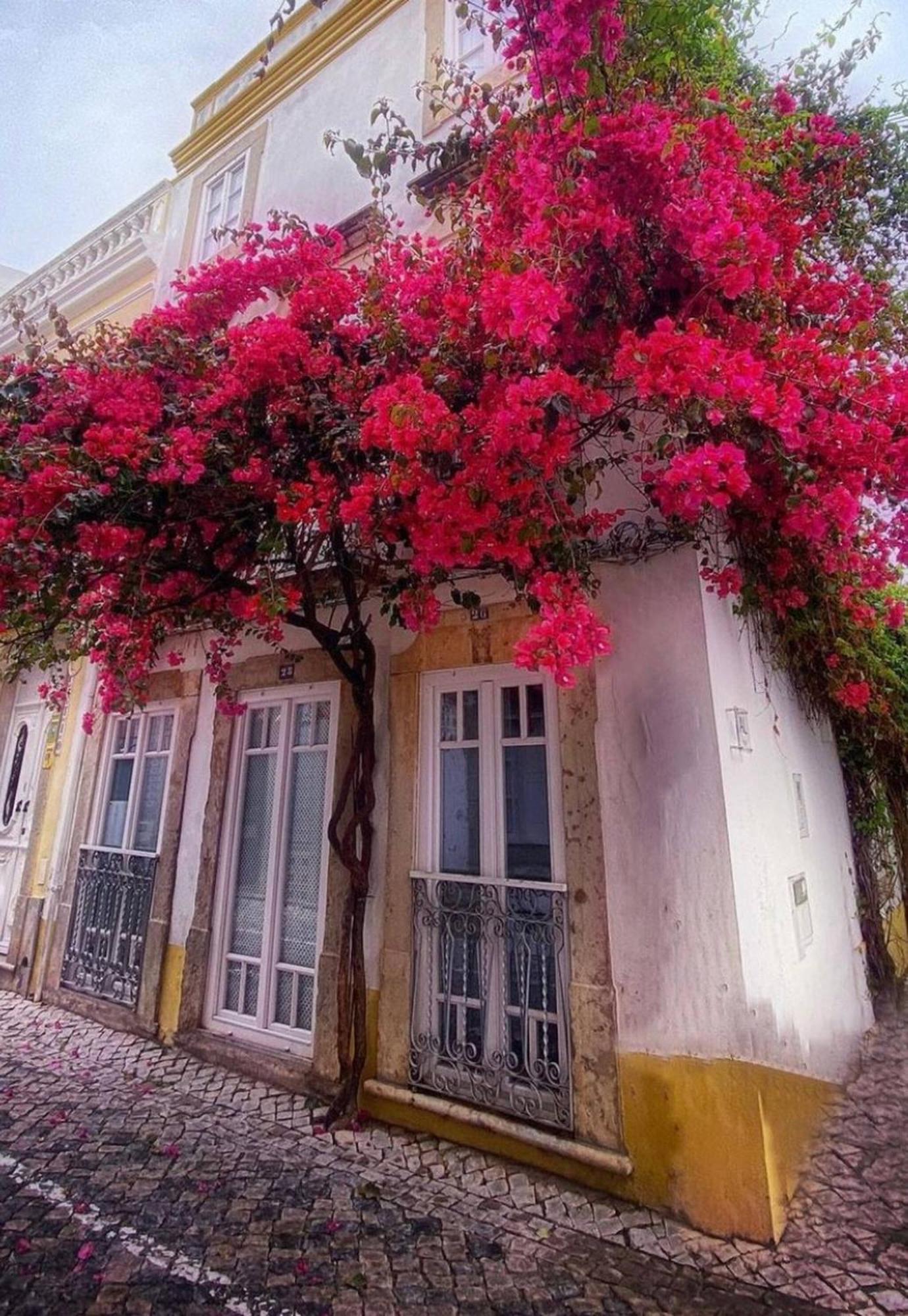 Elegant Studio Formosa In Taviras Historica Centre Villa Dış mekan fotoğraf